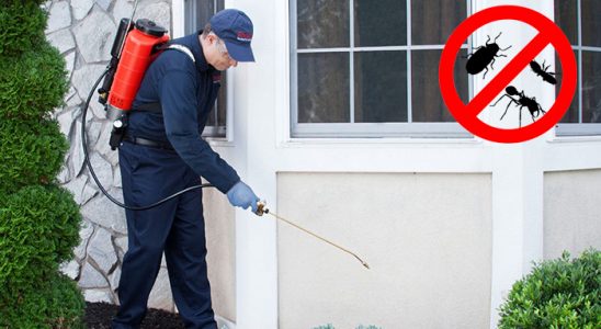 Boyabat Kemirgen İlaçlama böcek ilaçlama ve haşere kontrolü — ilaclama-tr.com